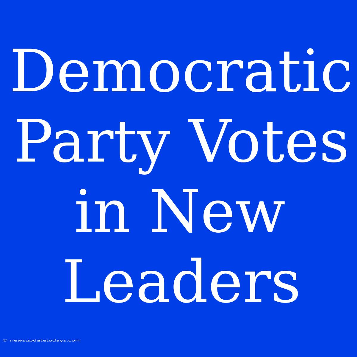 Democratic Party Votes In New Leaders