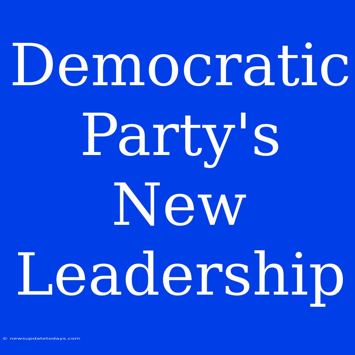 Democratic Party's New Leadership