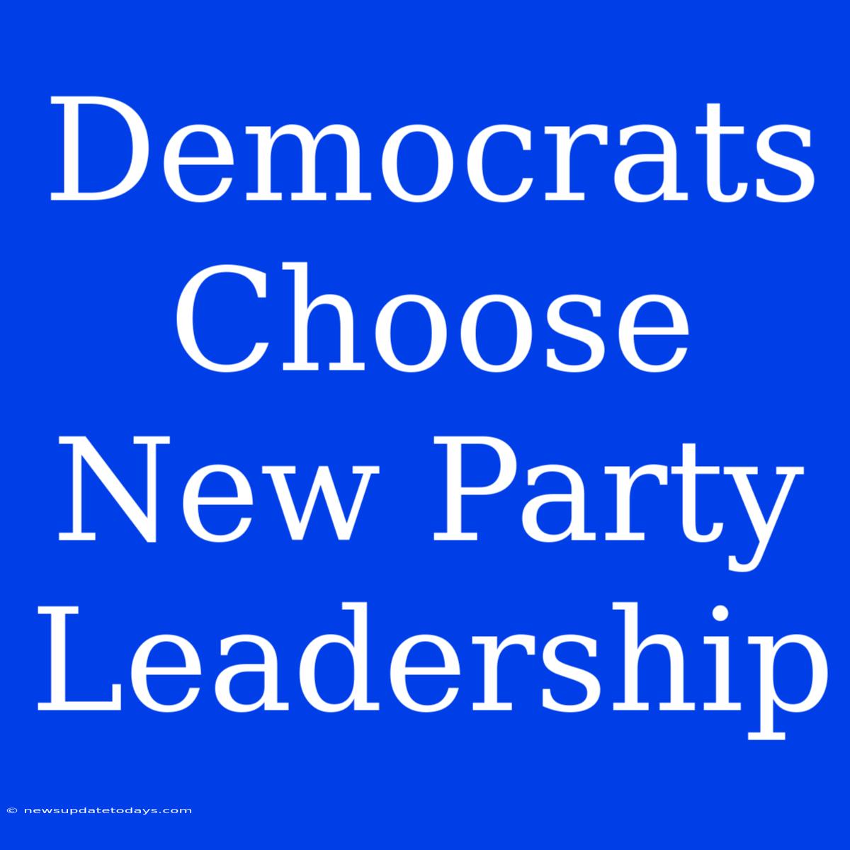 Democrats Choose New Party Leadership