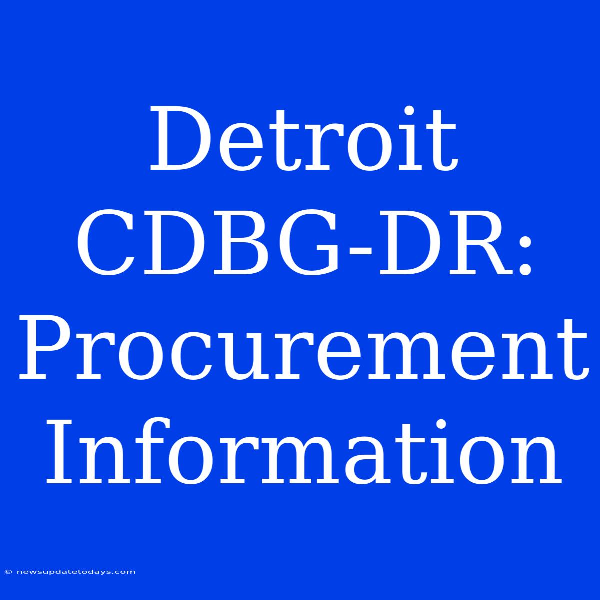 Detroit CDBG-DR:  Procurement Information