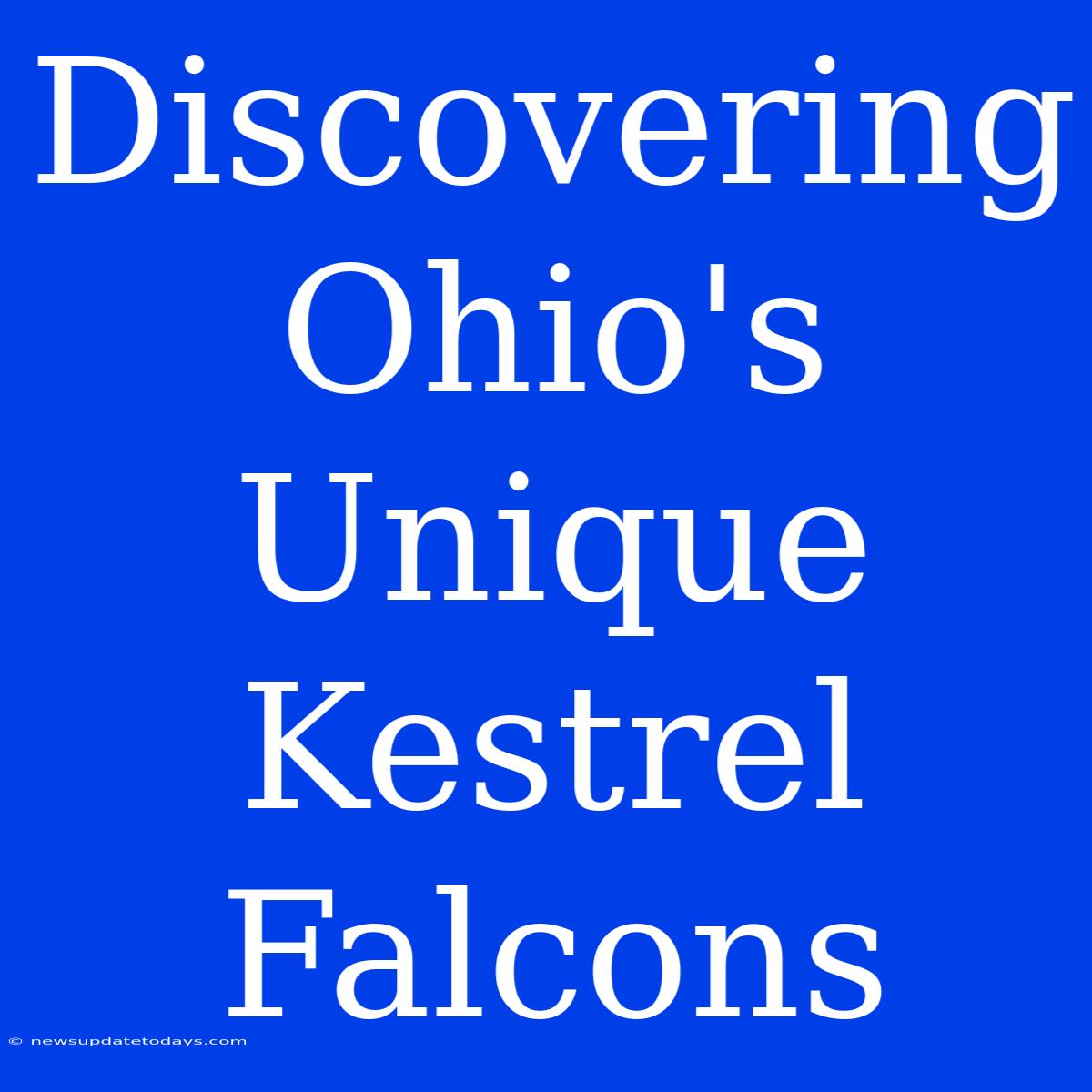 Discovering Ohio's Unique Kestrel Falcons