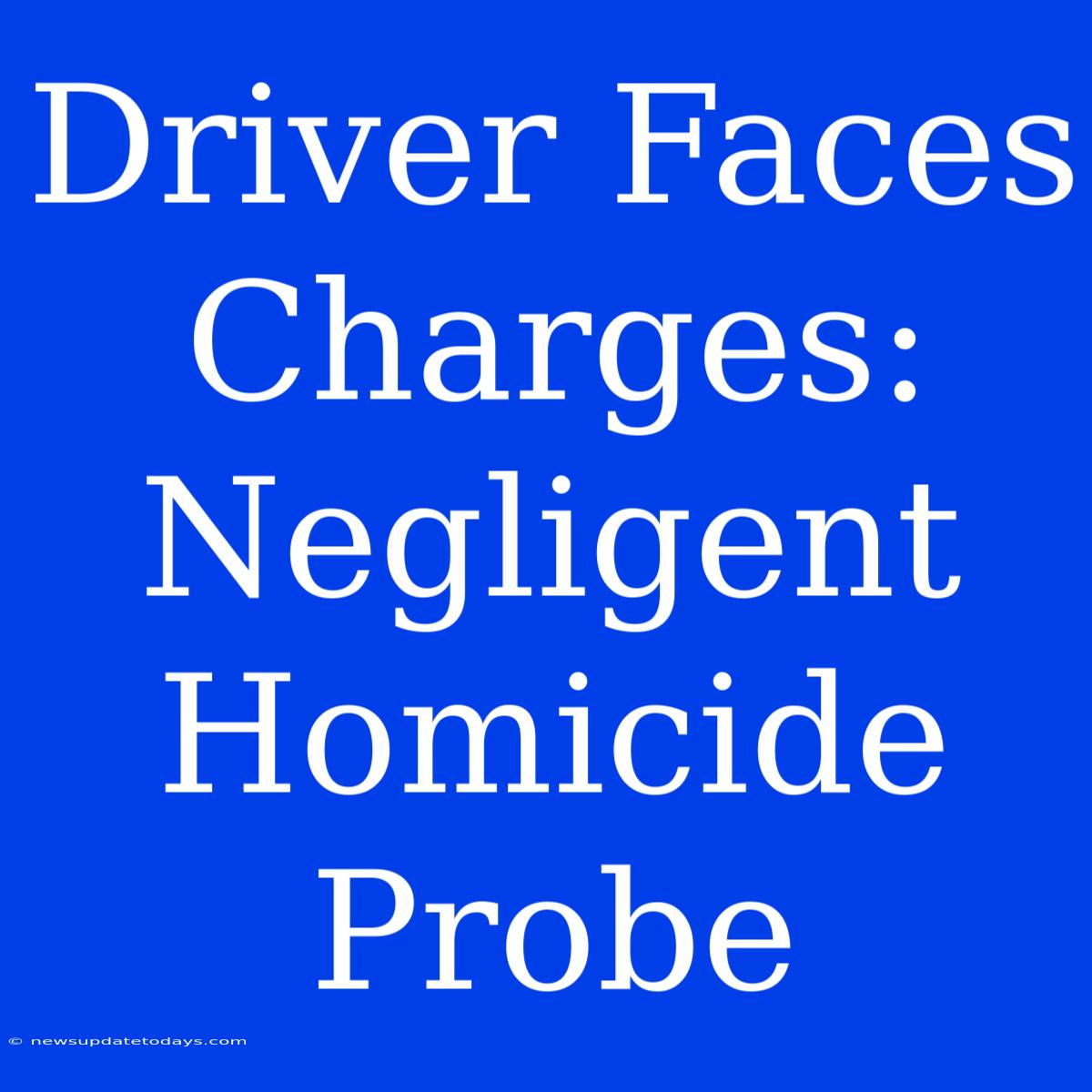 Driver Faces Charges: Negligent Homicide Probe