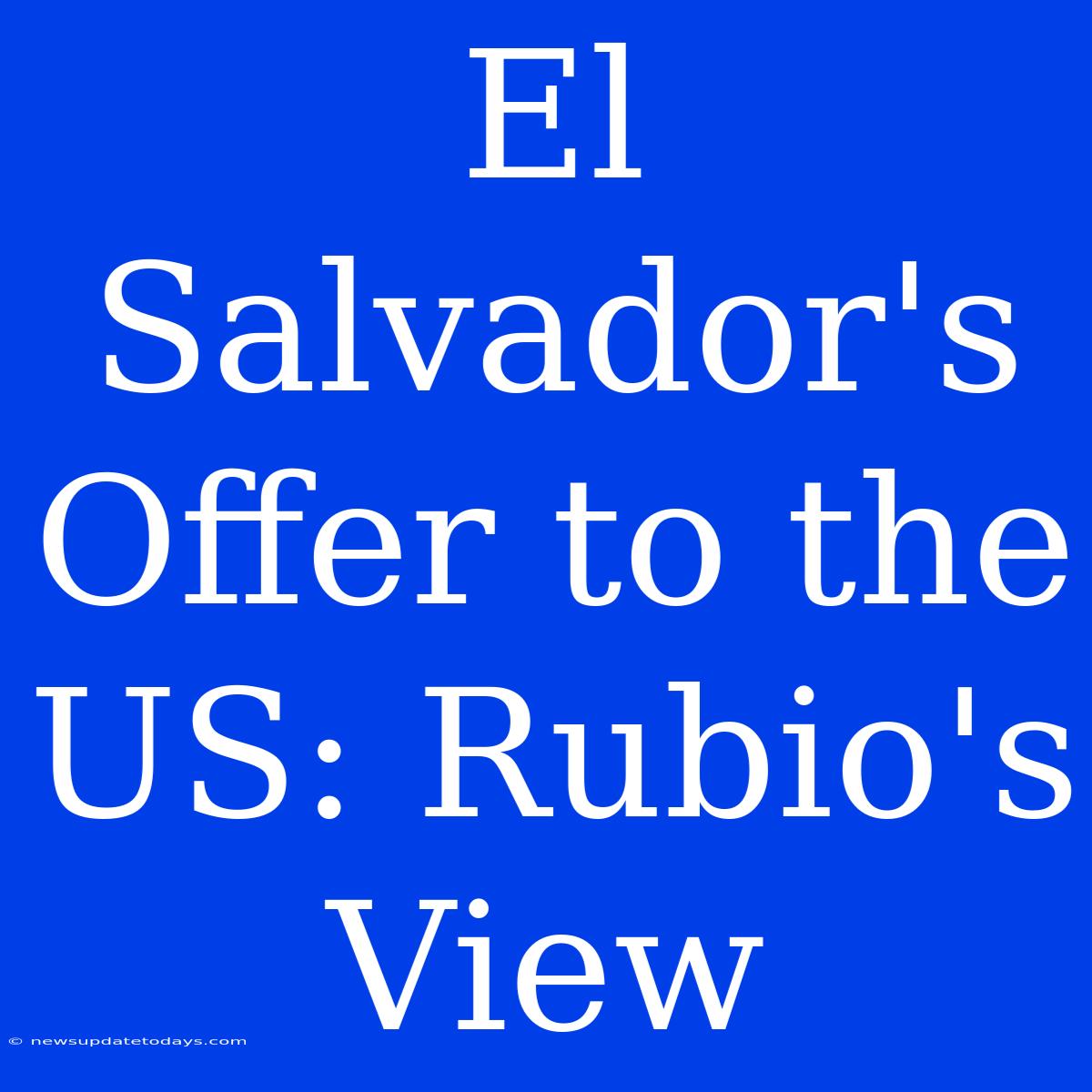 El Salvador's Offer To The US: Rubio's View