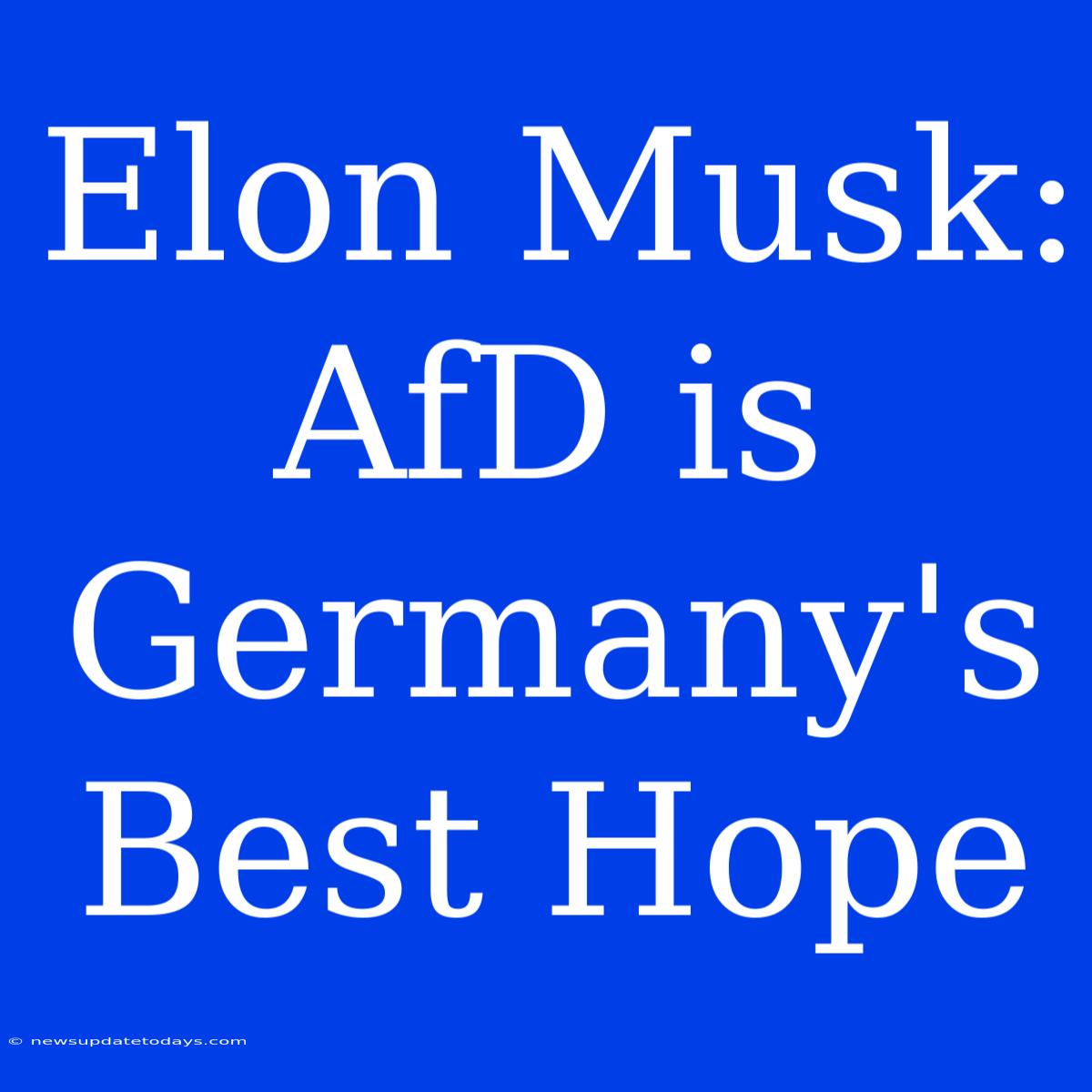 Elon Musk: AfD Is Germany's Best Hope