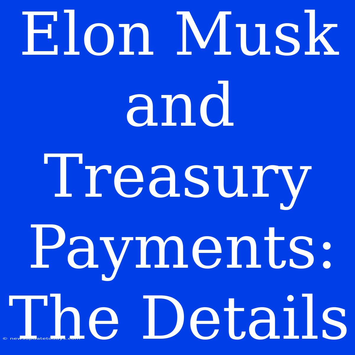 Elon Musk And Treasury Payments: The Details