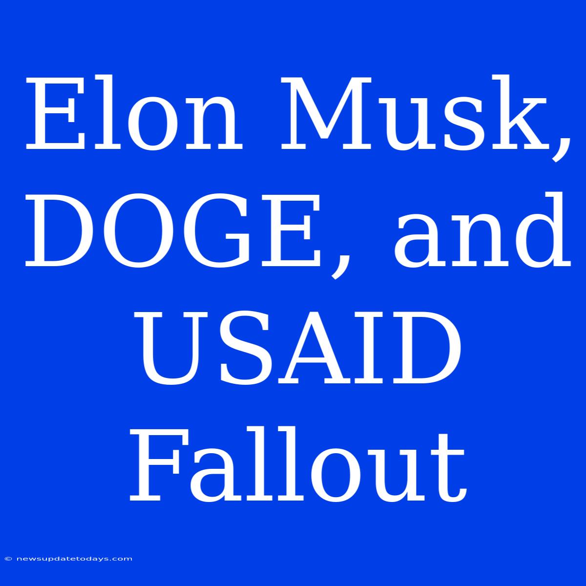 Elon Musk, DOGE, And USAID Fallout