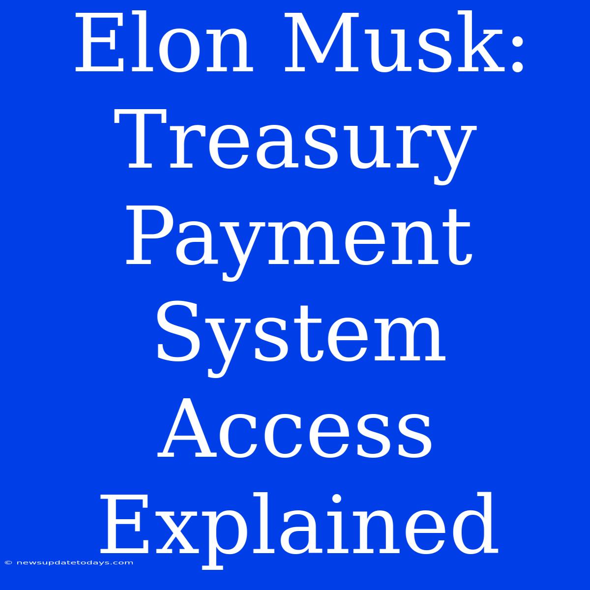 Elon Musk: Treasury Payment System Access Explained