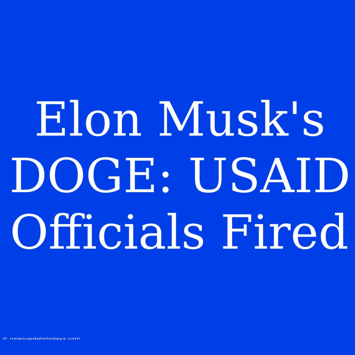 Elon Musk's DOGE: USAID Officials Fired