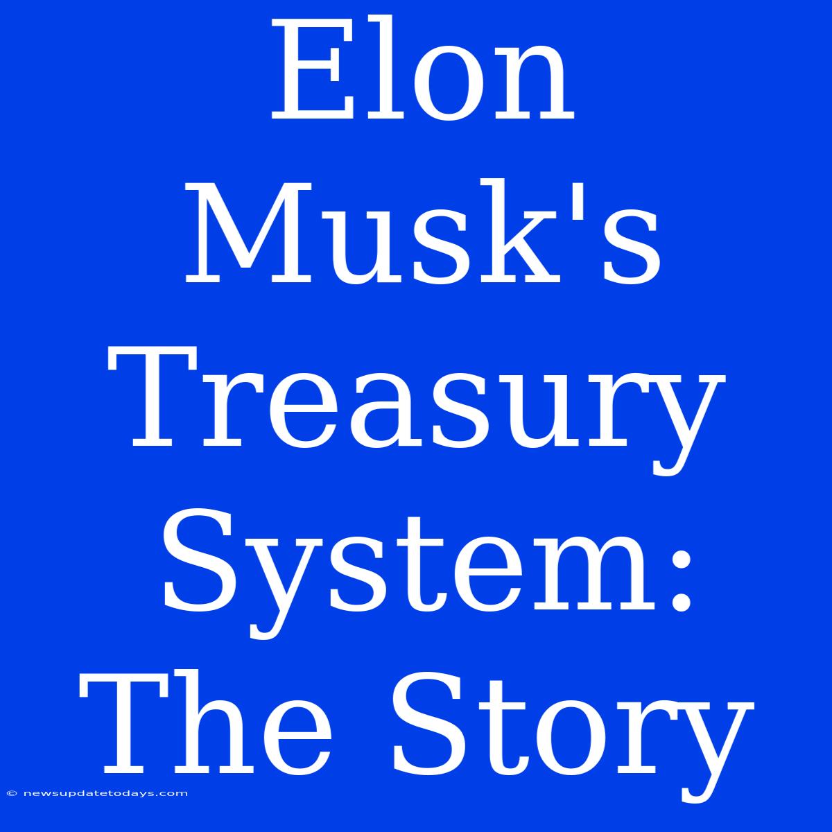 Elon Musk's Treasury System: The Story