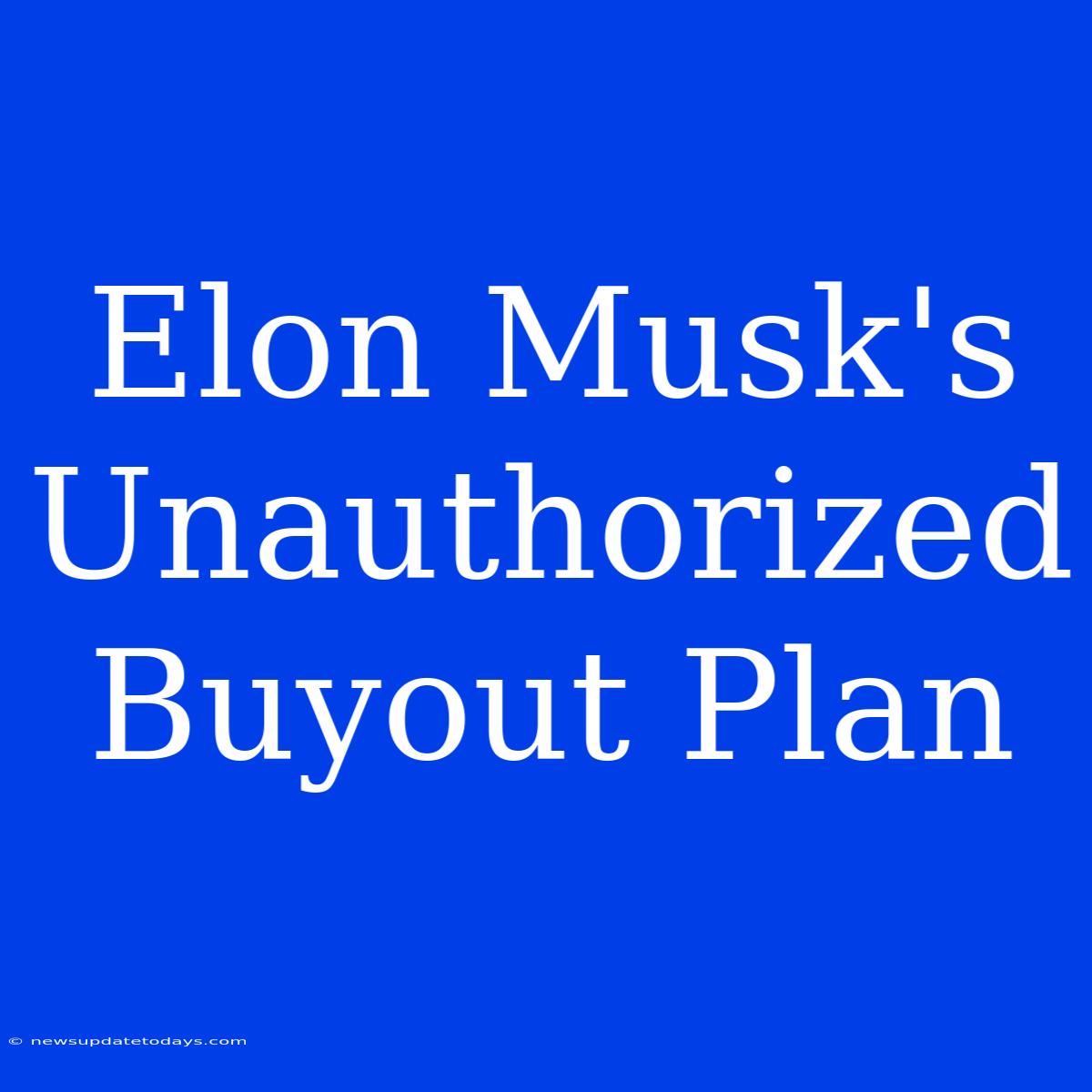 Elon Musk's Unauthorized Buyout Plan