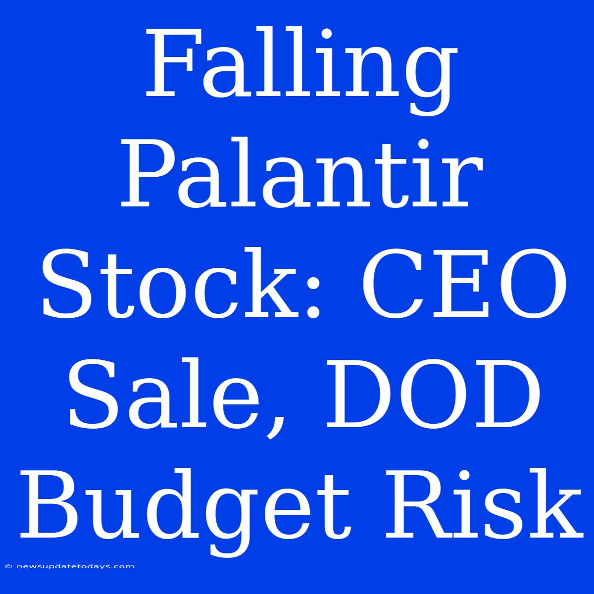 Falling Palantir Stock: CEO Sale, DOD Budget Risk