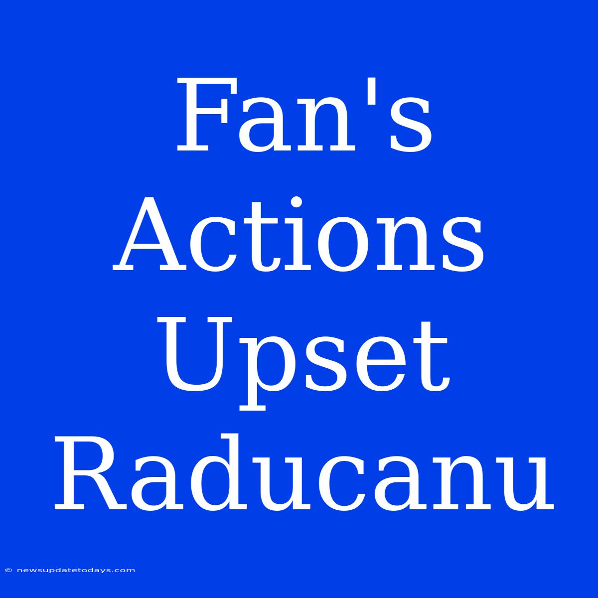 Fan's Actions Upset Raducanu