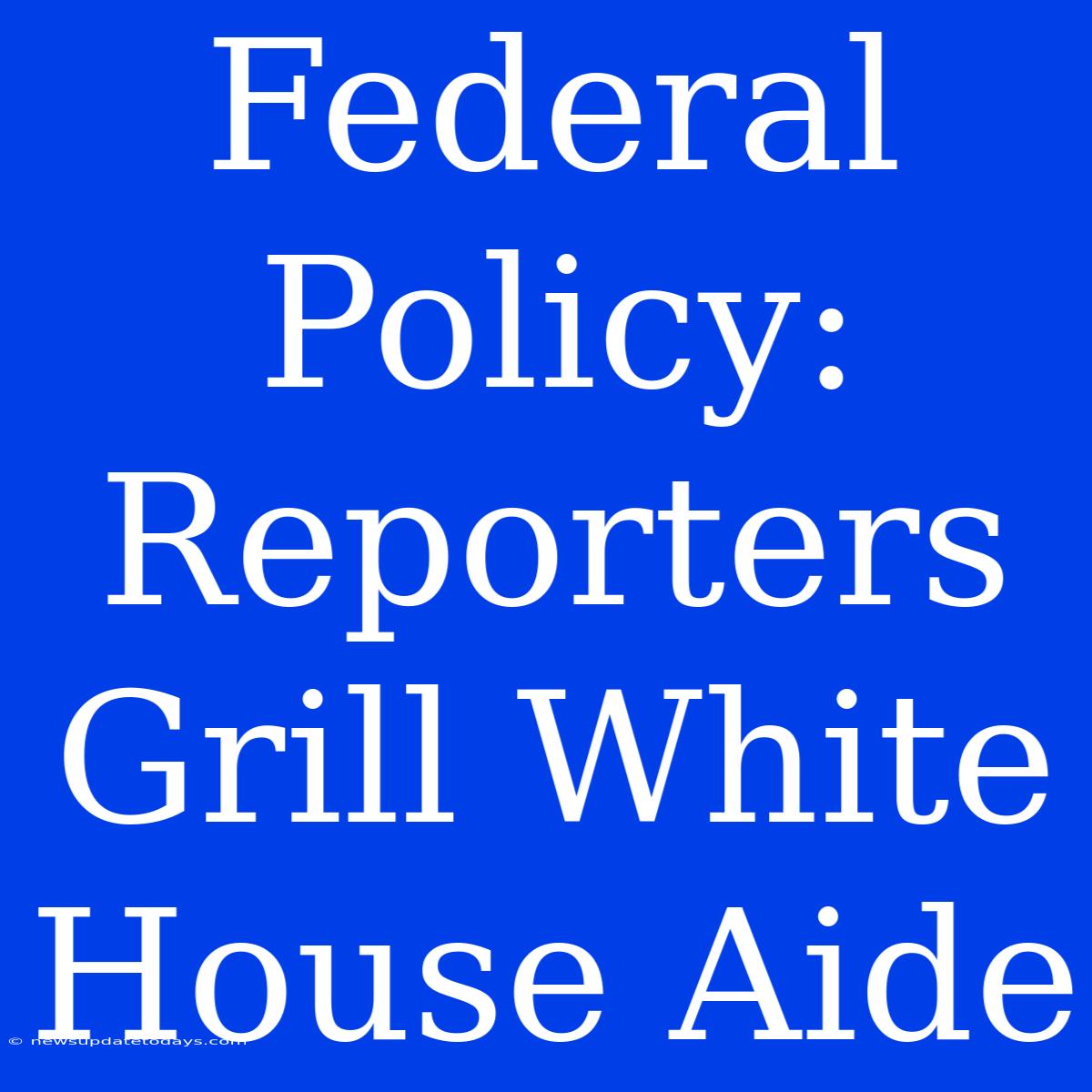 Federal Policy: Reporters Grill White House Aide