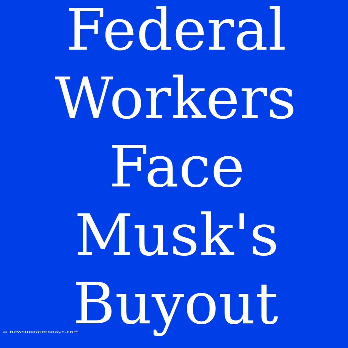 Federal Workers Face Musk's Buyout