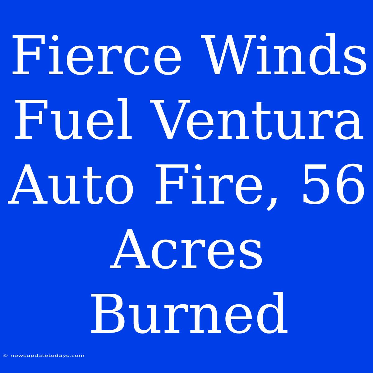 Fierce Winds Fuel Ventura Auto Fire, 56 Acres Burned