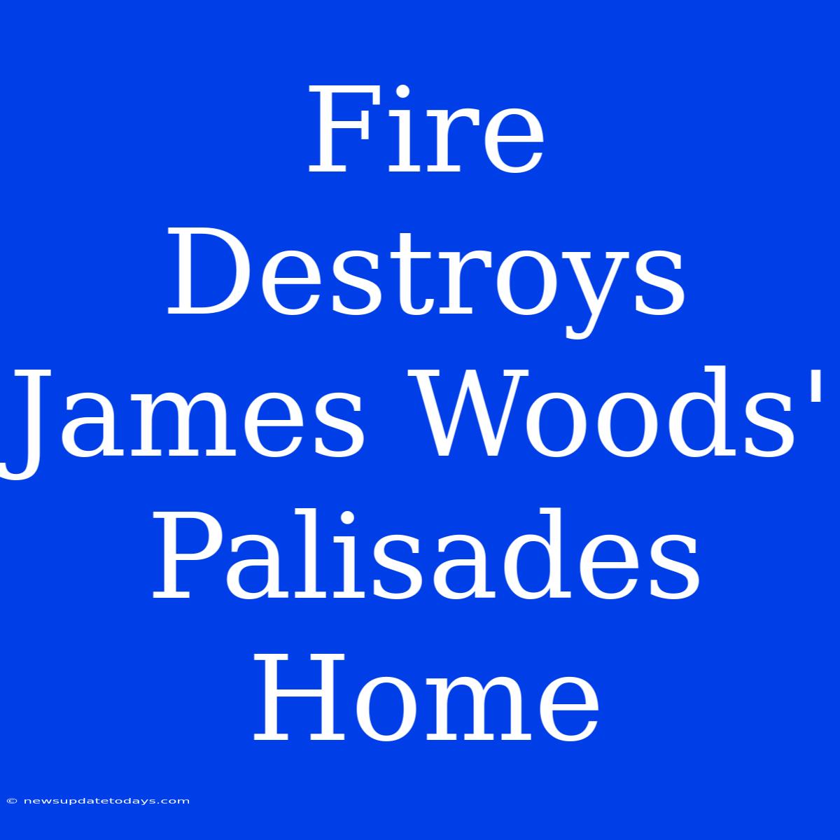 Fire Destroys James Woods' Palisades Home