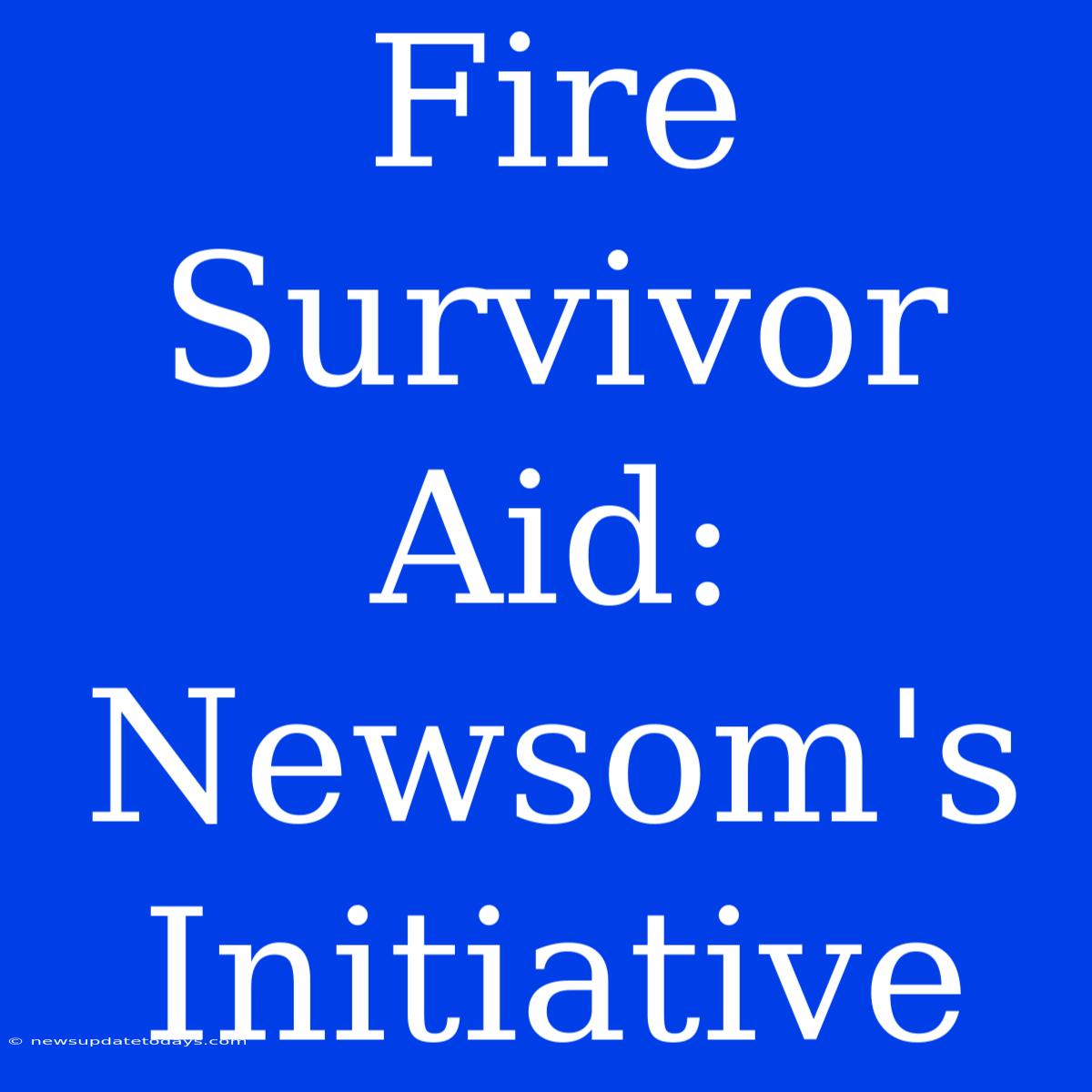 Fire Survivor Aid: Newsom's Initiative