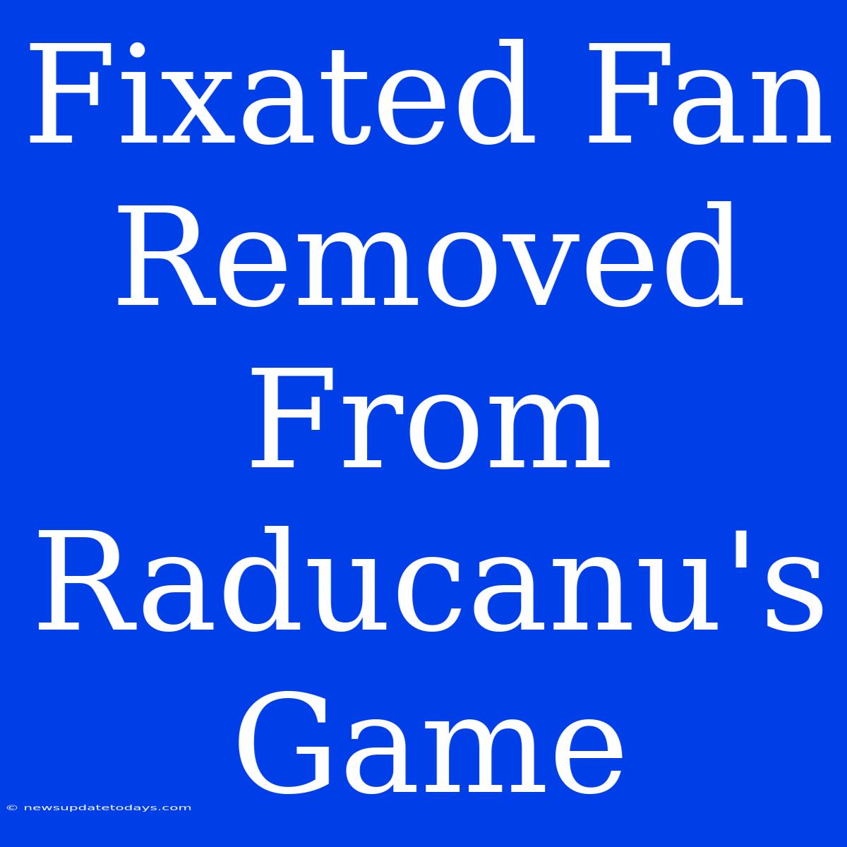 Fixated Fan Removed From Raducanu's Game