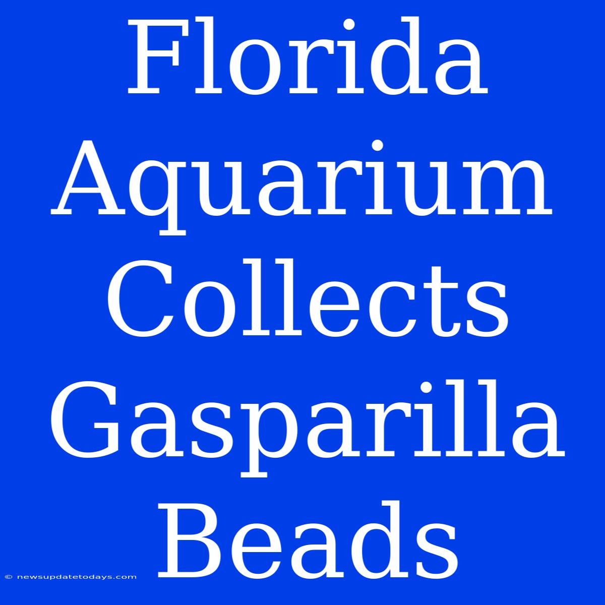 Florida Aquarium Collects Gasparilla Beads