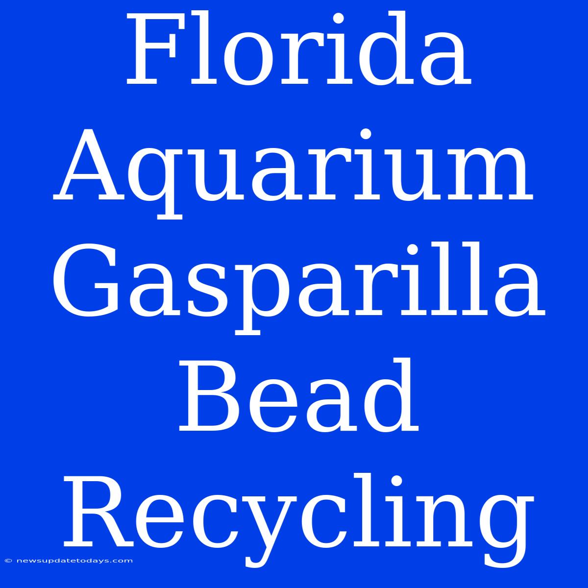 Florida Aquarium Gasparilla Bead Recycling