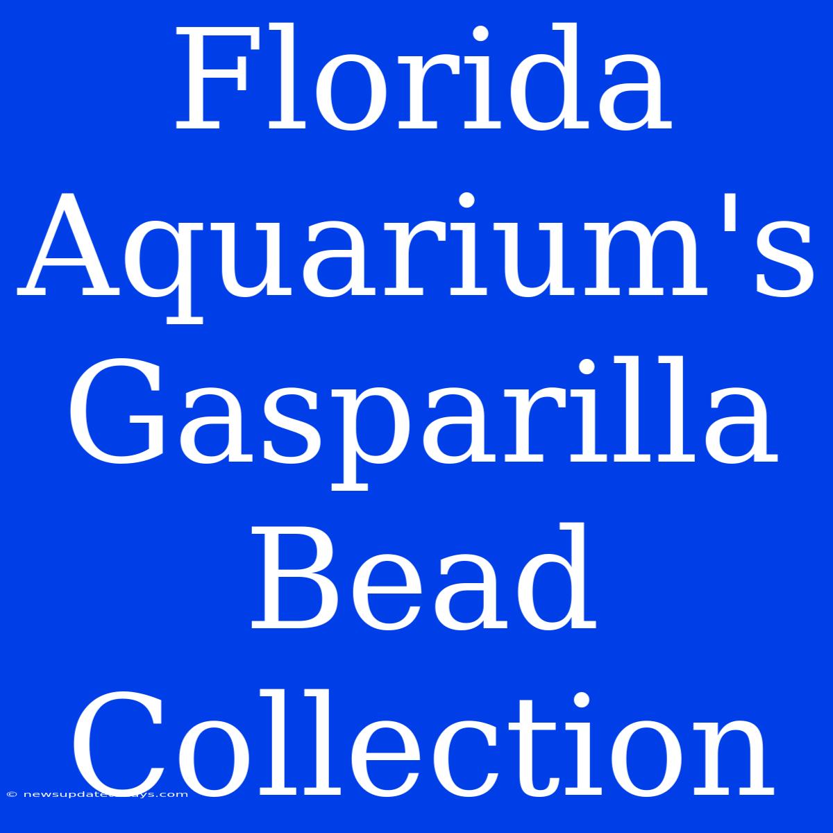 Florida Aquarium's Gasparilla Bead Collection