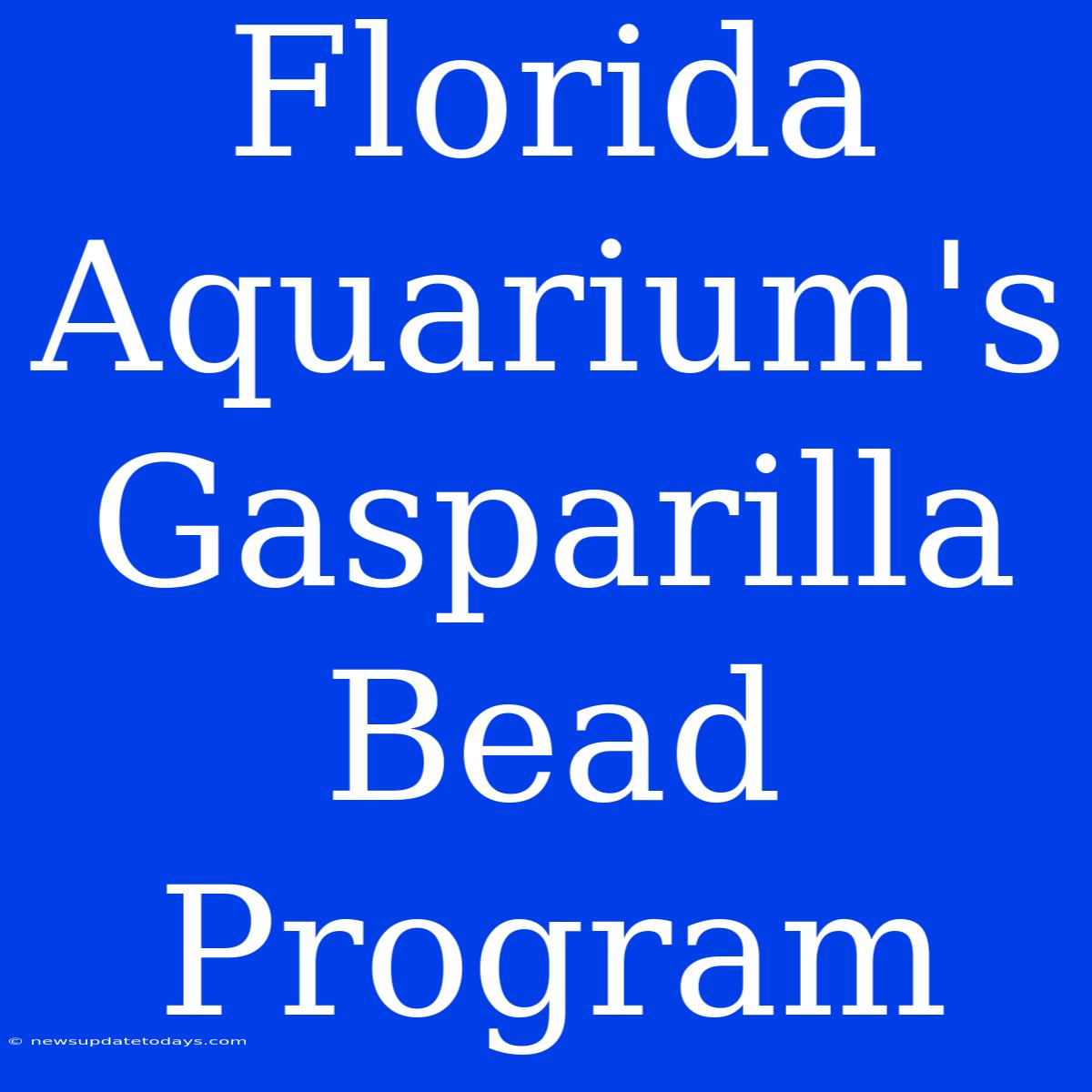 Florida Aquarium's Gasparilla Bead Program