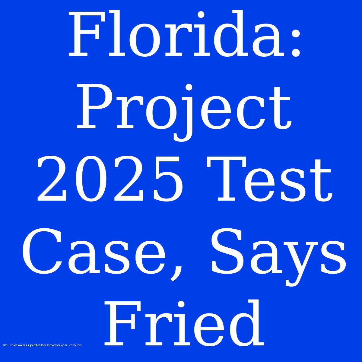 Florida: Project 2025 Test Case, Says Fried