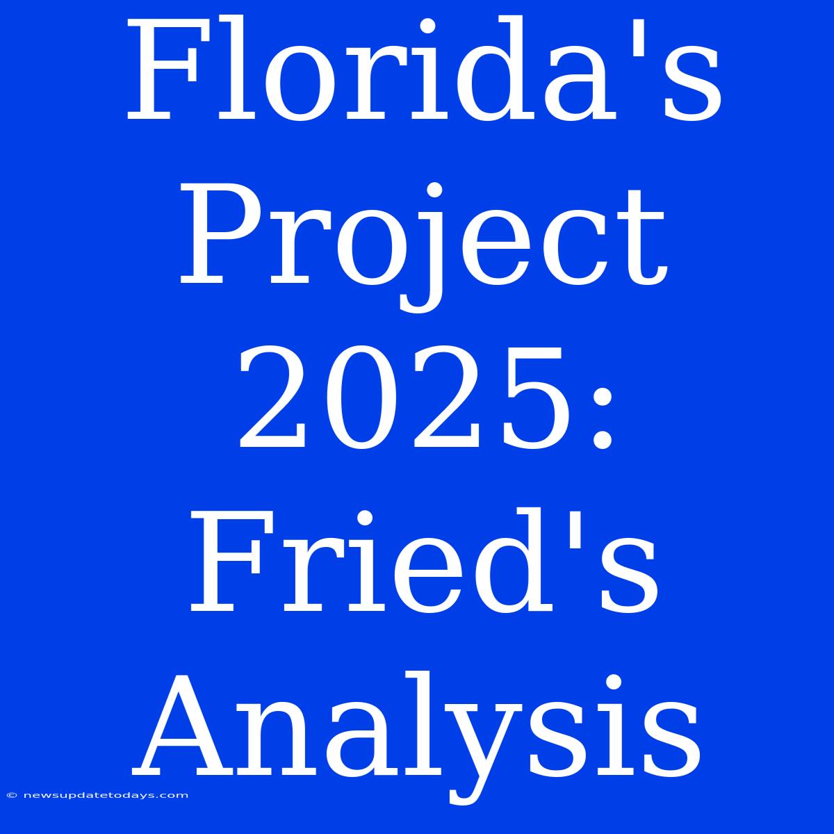 Florida's Project 2025: Fried's Analysis