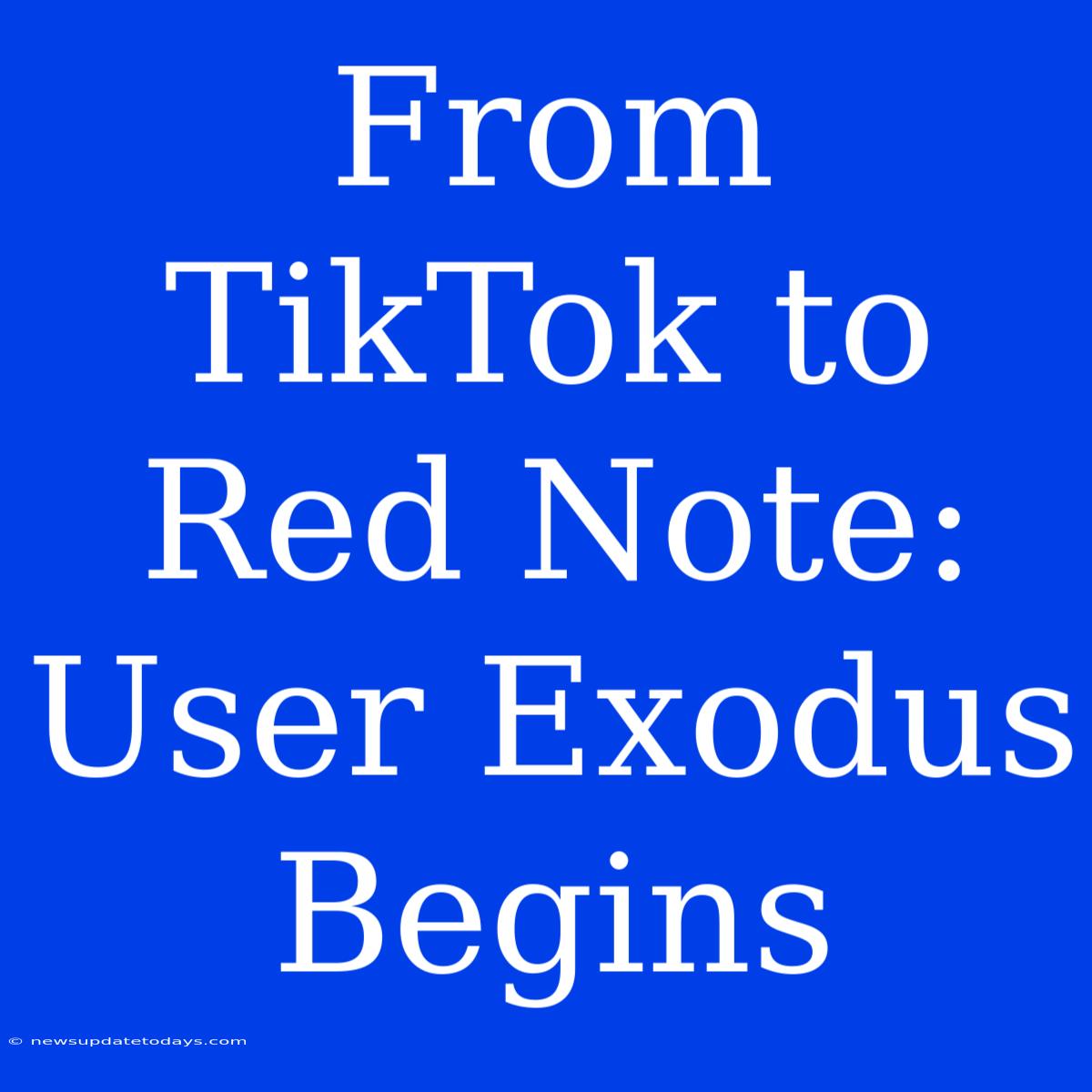 From TikTok To Red Note: User Exodus Begins