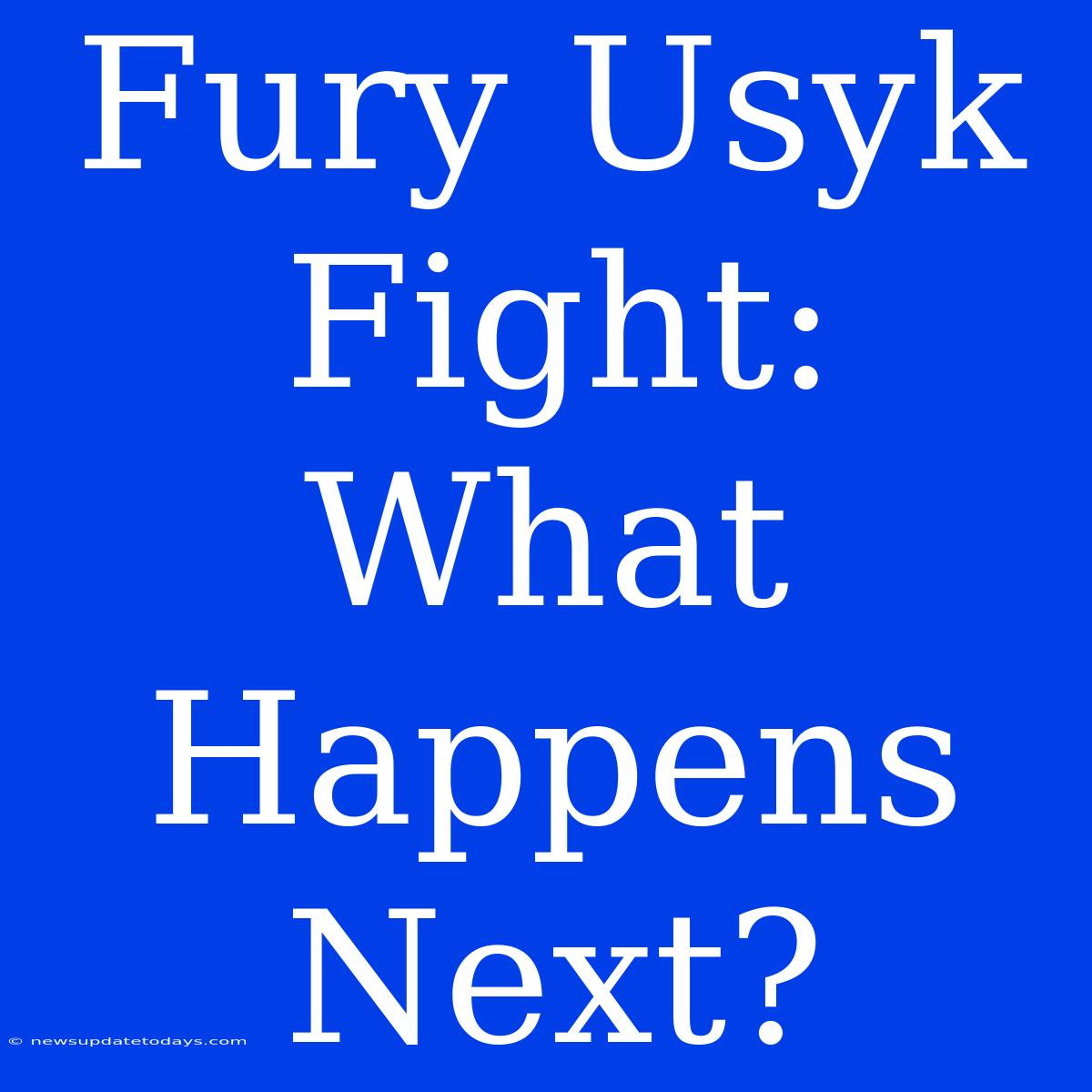 Fury Usyk Fight: What Happens Next?