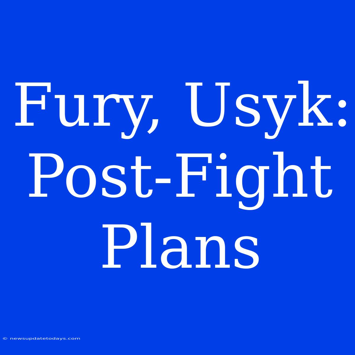 Fury, Usyk: Post-Fight Plans