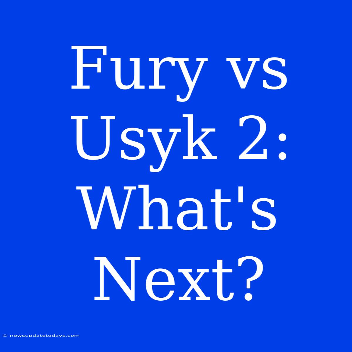 Fury Vs Usyk 2: What's Next?