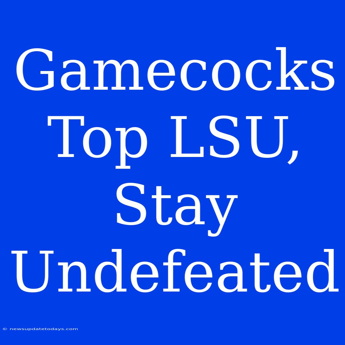 Gamecocks Top LSU, Stay Undefeated