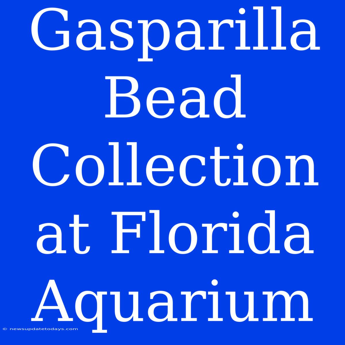 Gasparilla Bead Collection At Florida Aquarium