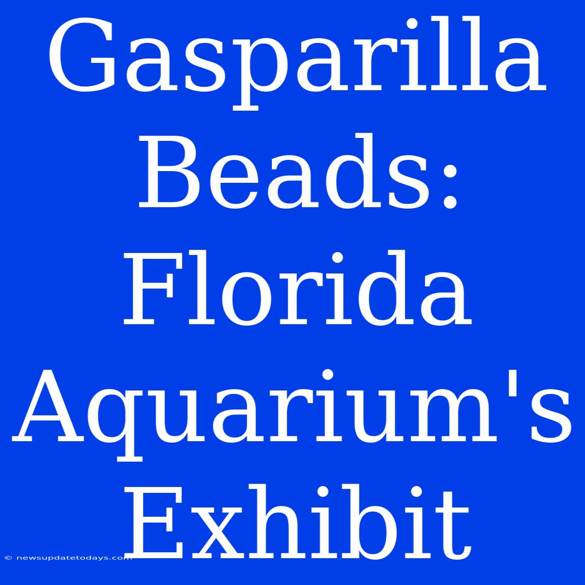 Gasparilla Beads: Florida Aquarium's Exhibit