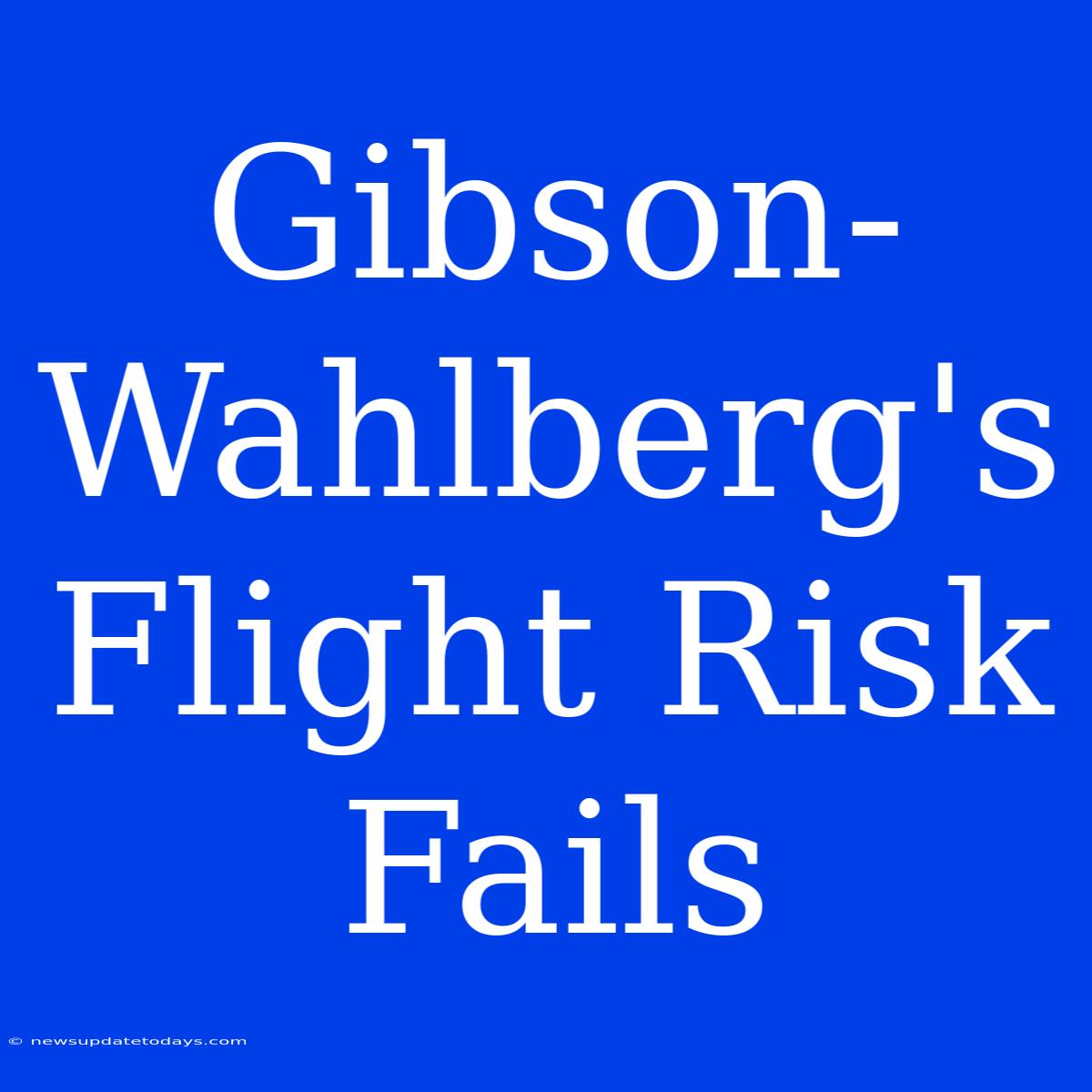 Gibson-Wahlberg's Flight Risk Fails