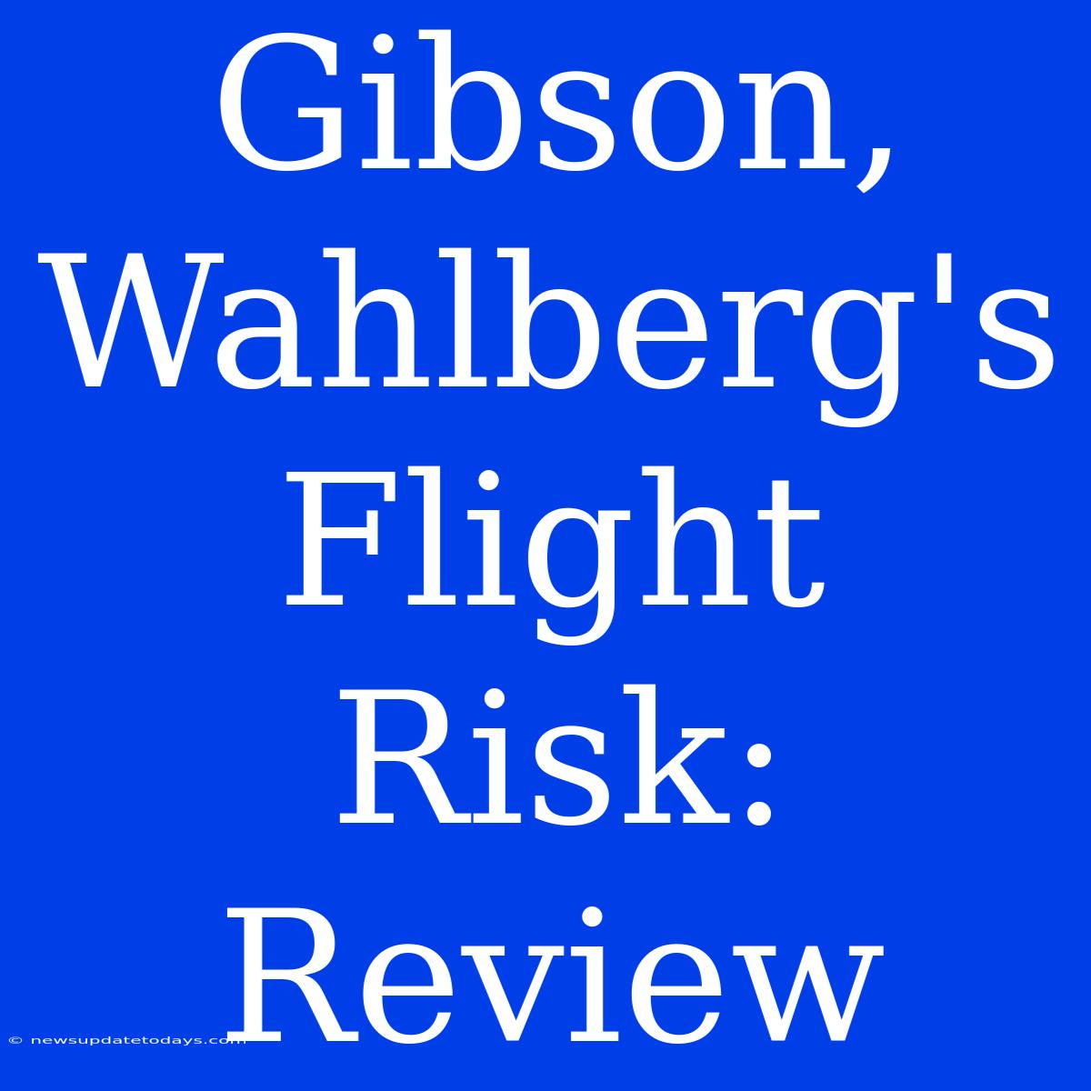 Gibson, Wahlberg's Flight Risk: Review