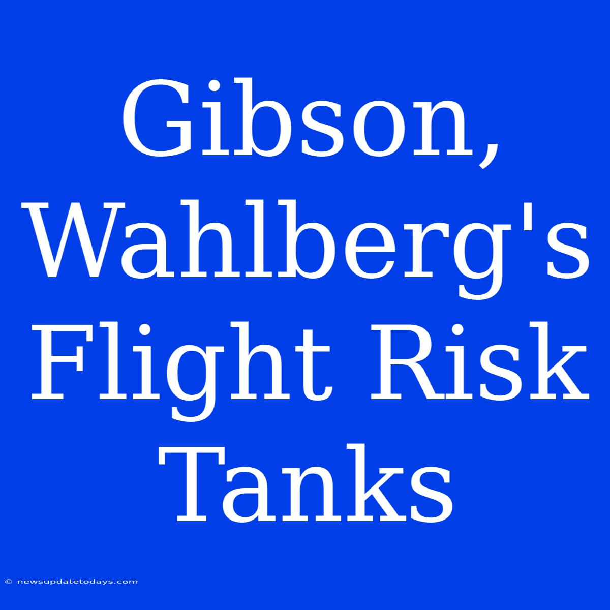 Gibson, Wahlberg's Flight Risk Tanks