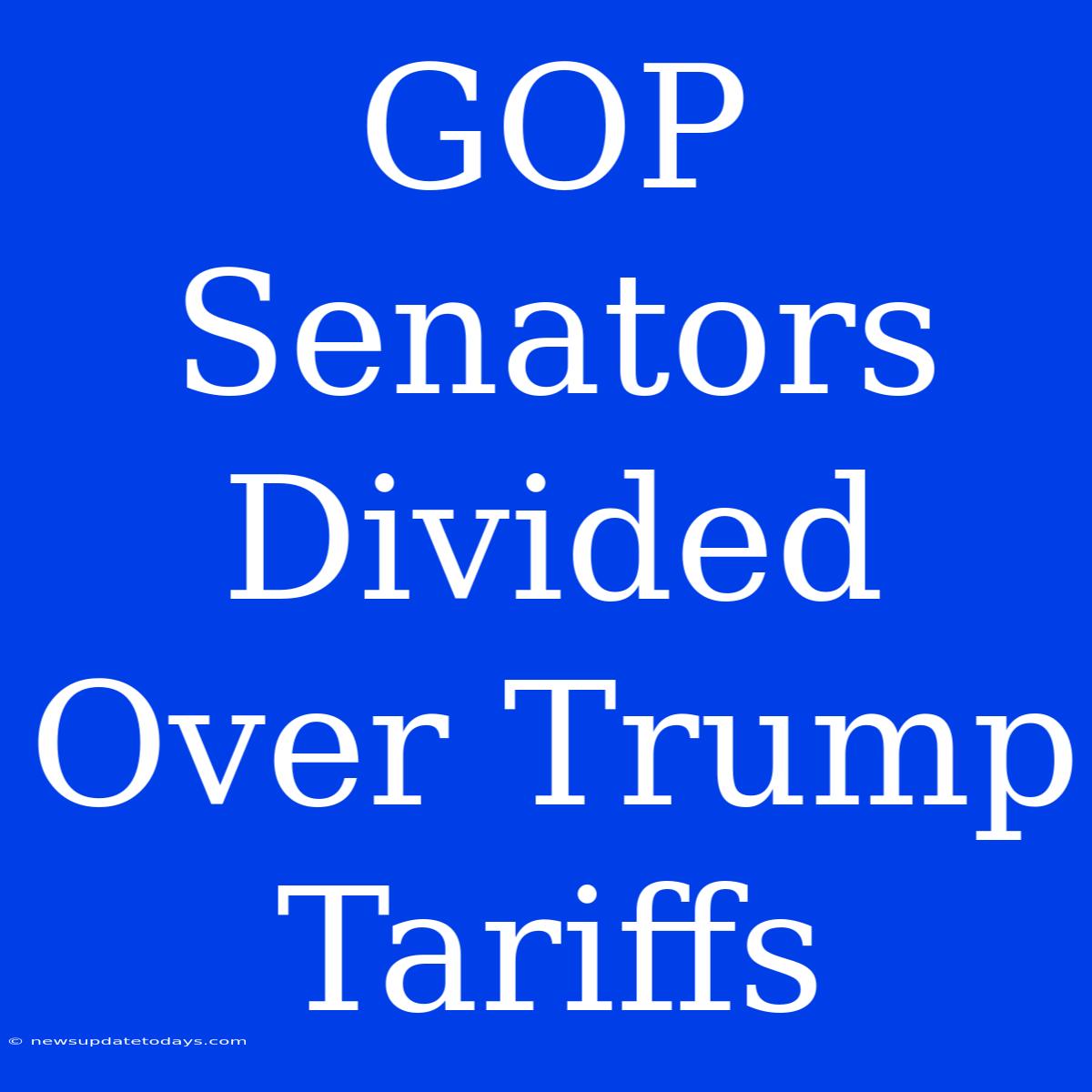 GOP Senators Divided Over Trump Tariffs