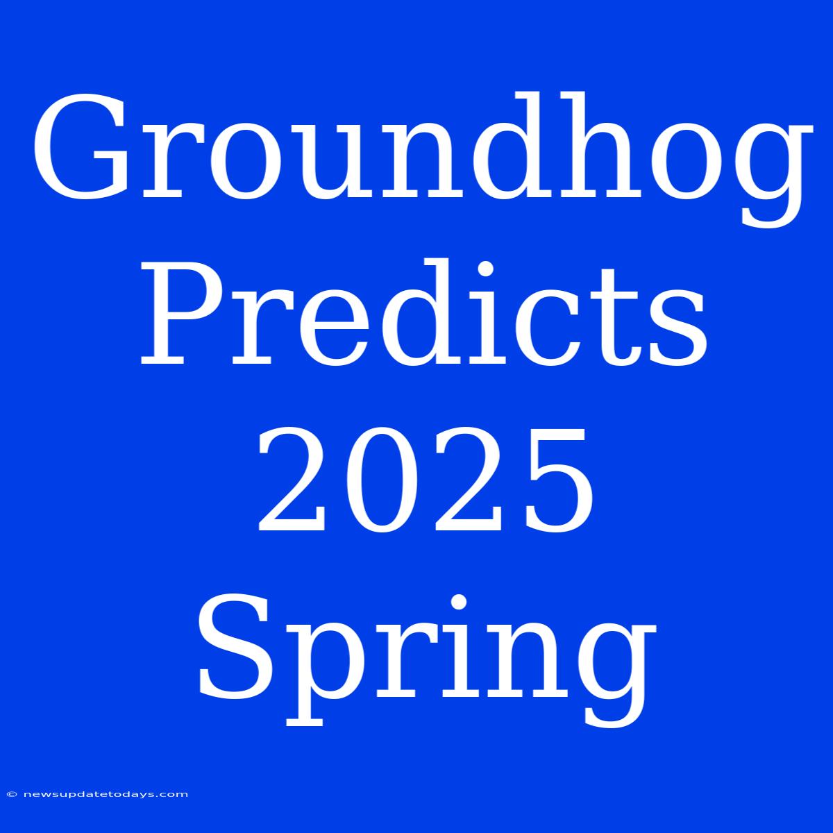 Groundhog Predicts 2025 Spring