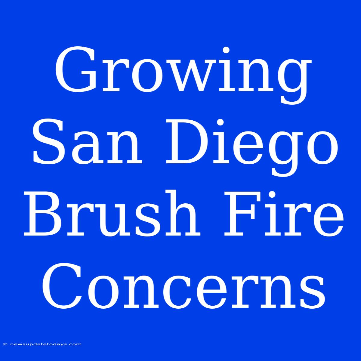 Growing San Diego Brush Fire Concerns