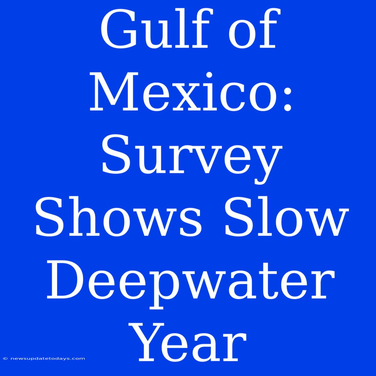 Gulf Of Mexico: Survey Shows Slow Deepwater Year