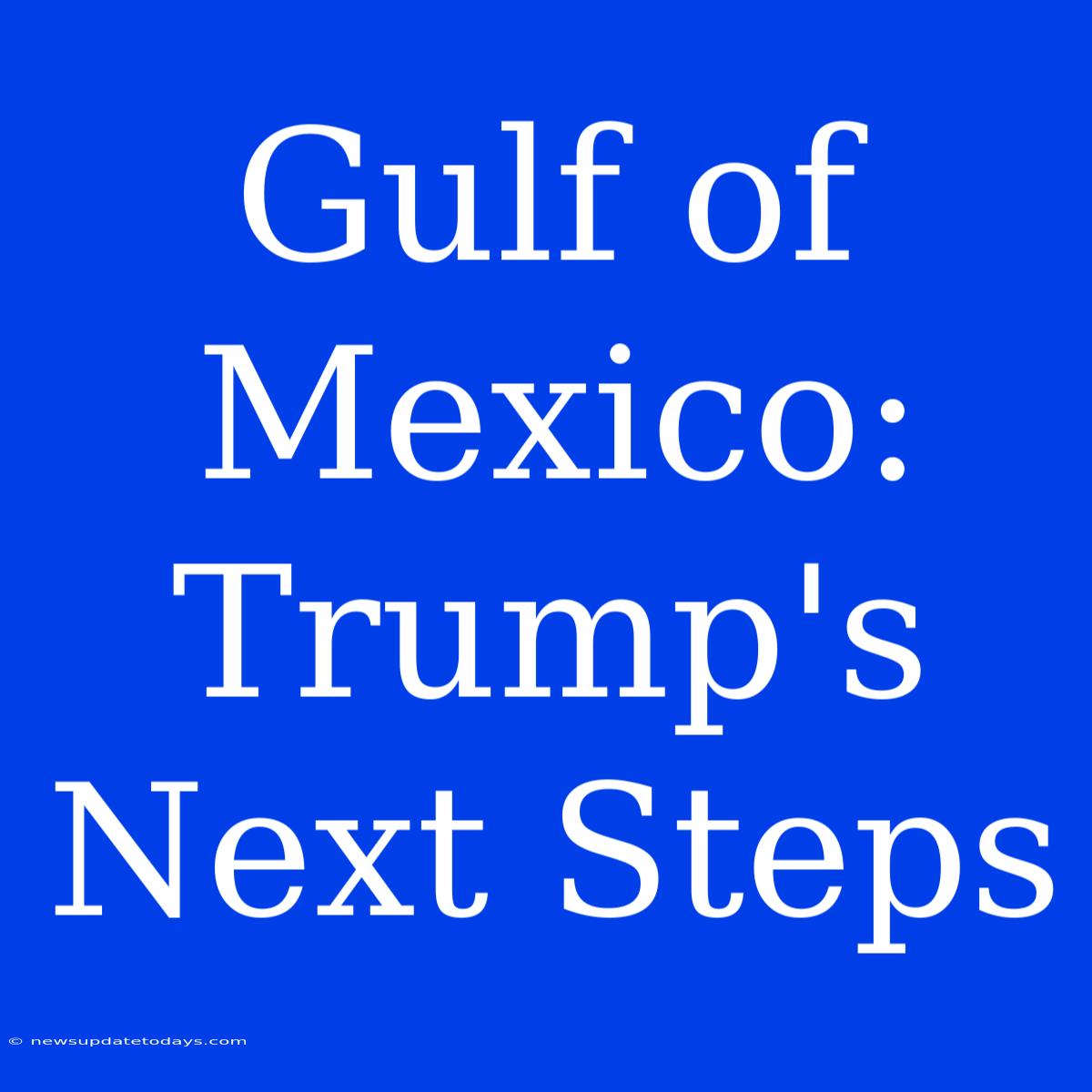 Gulf Of Mexico: Trump's Next Steps