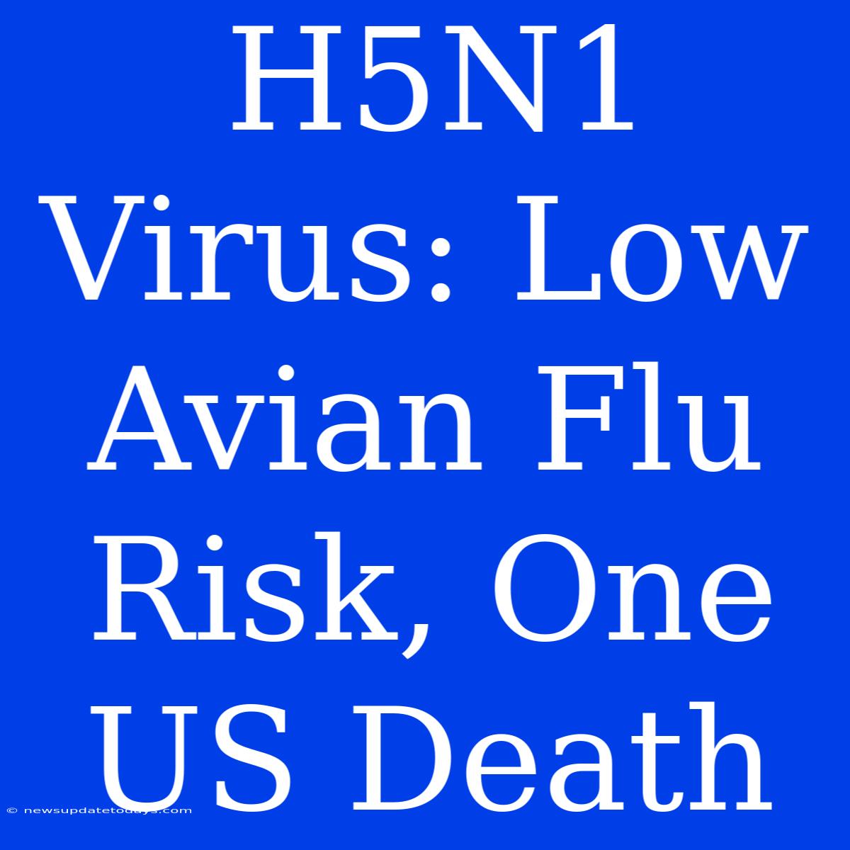 H5N1 Virus: Low Avian Flu Risk, One US Death