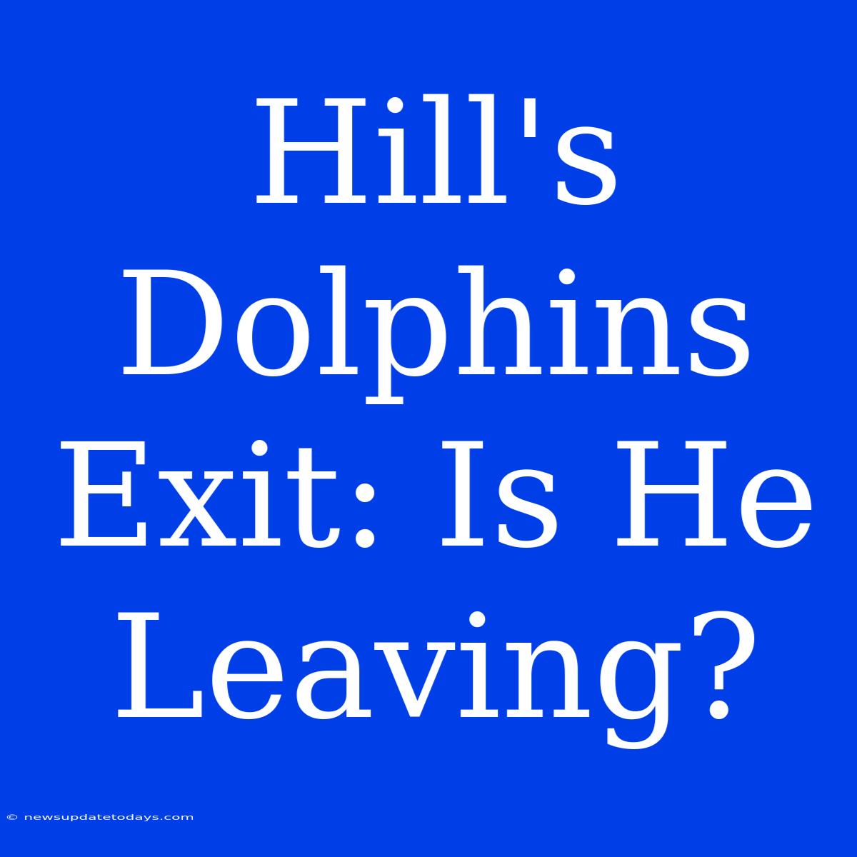 Hill's Dolphins Exit: Is He Leaving?