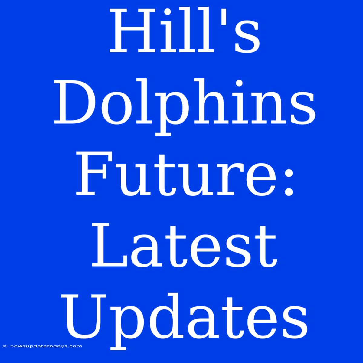 Hill's Dolphins Future: Latest Updates