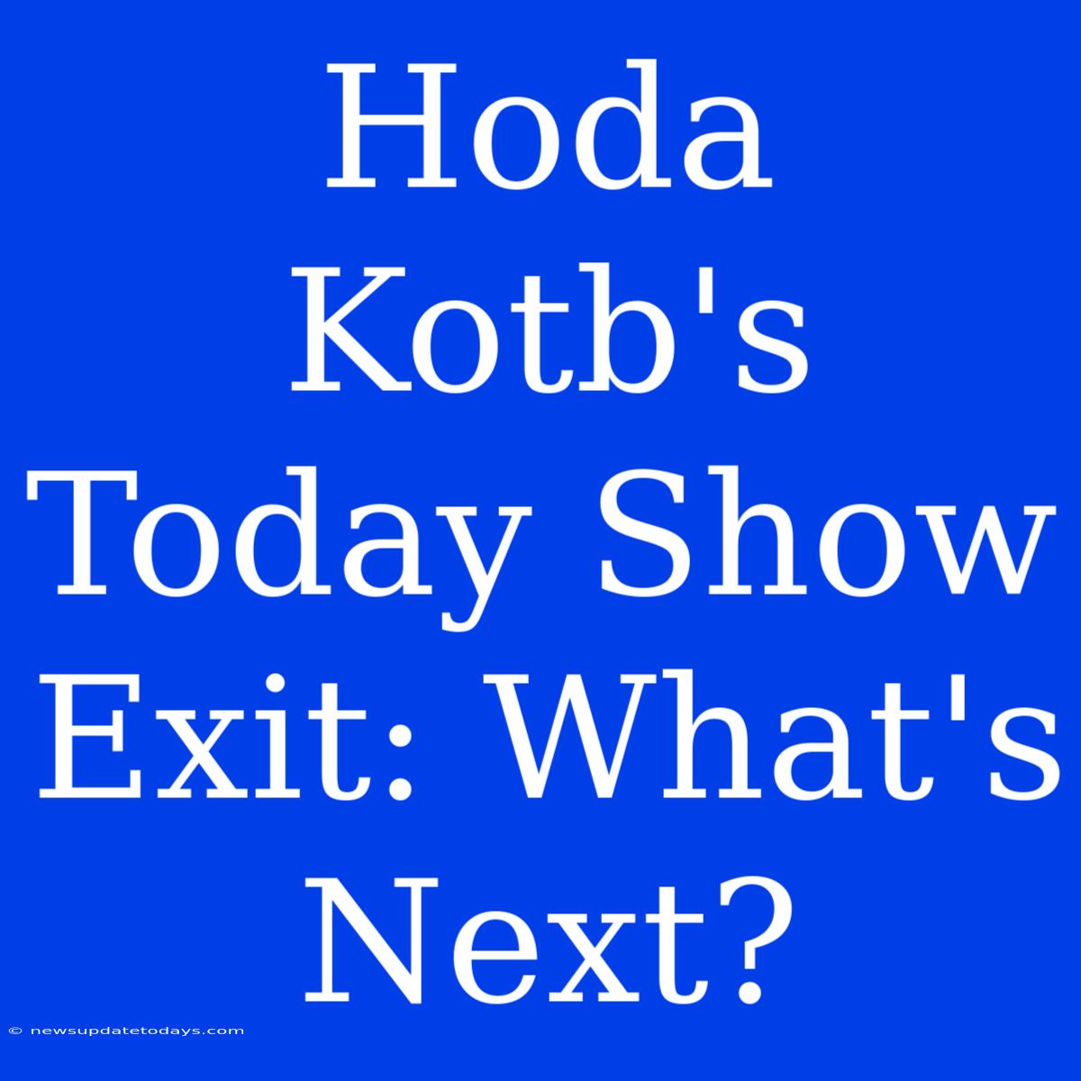 Hoda Kotb's Today Show Exit: What's Next?