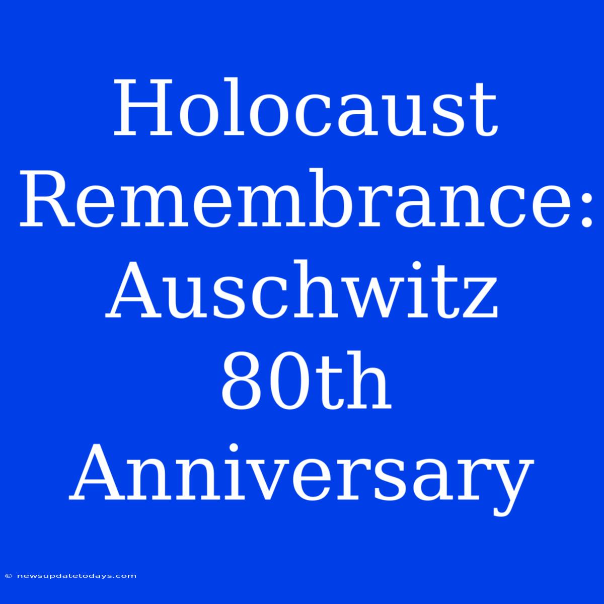 Holocaust Remembrance: Auschwitz 80th Anniversary