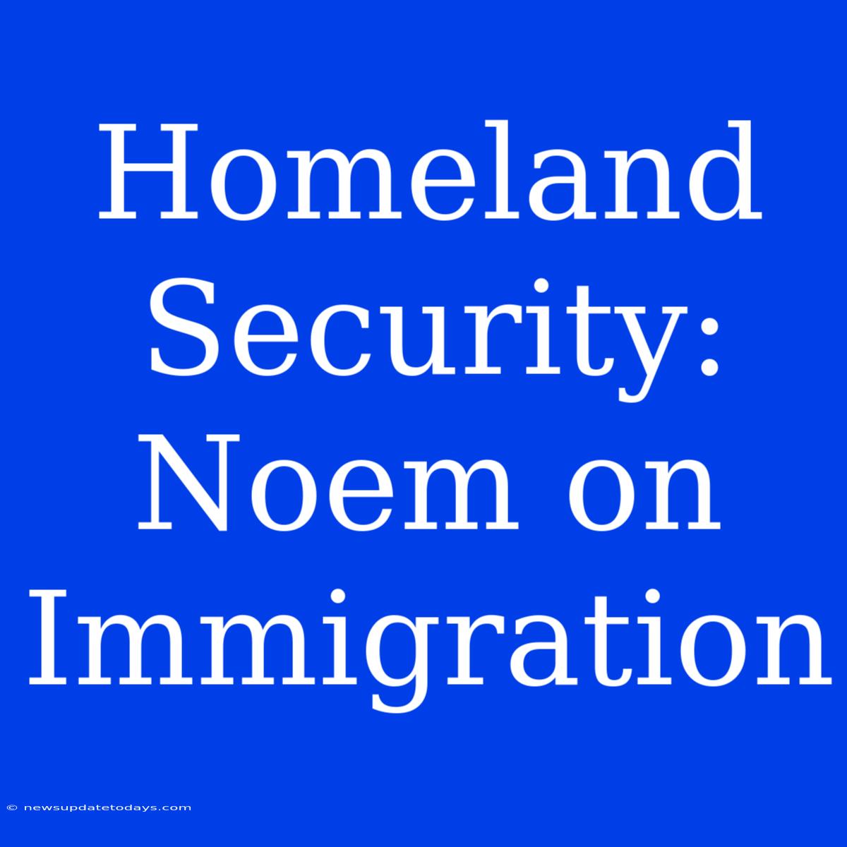 Homeland Security: Noem On Immigration