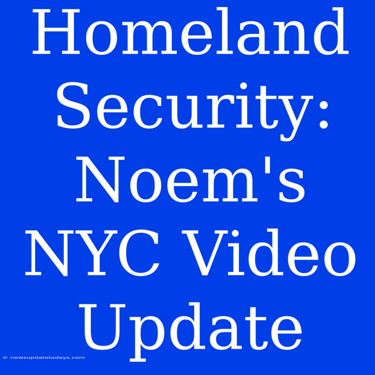 Homeland Security: Noem's NYC Video Update